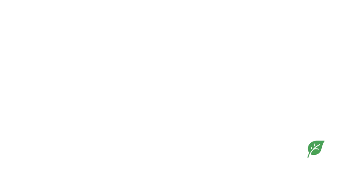 Nordlys