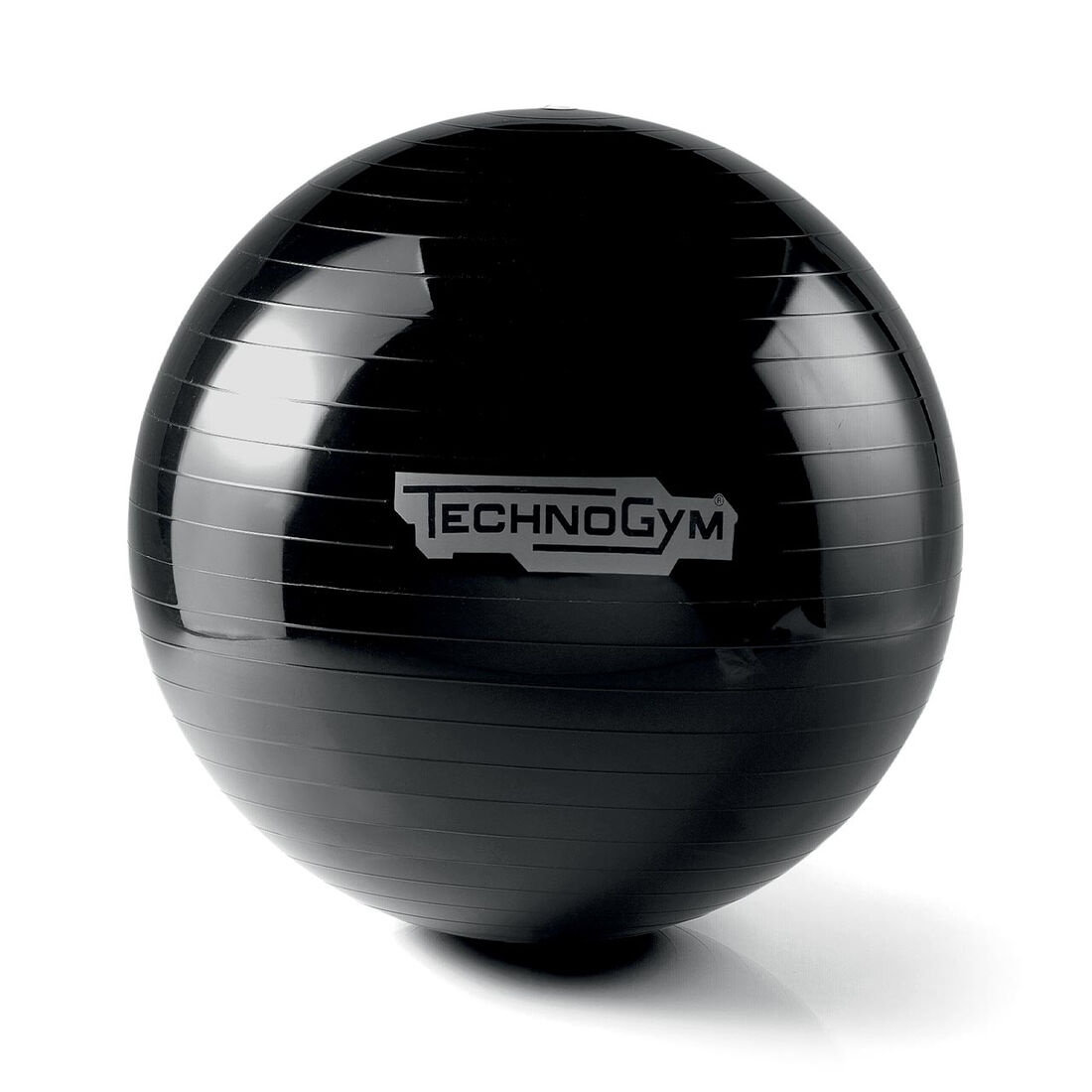 Technogym Wellness ball (55-65cm) - 65 cm. bidbrain_campaign_1098