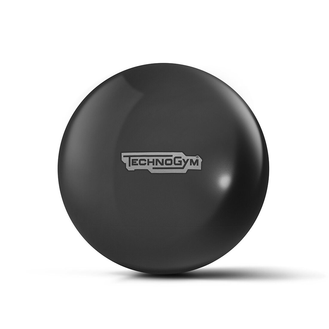 Technogym Wellness Ball bidbrain_campaign_1098
