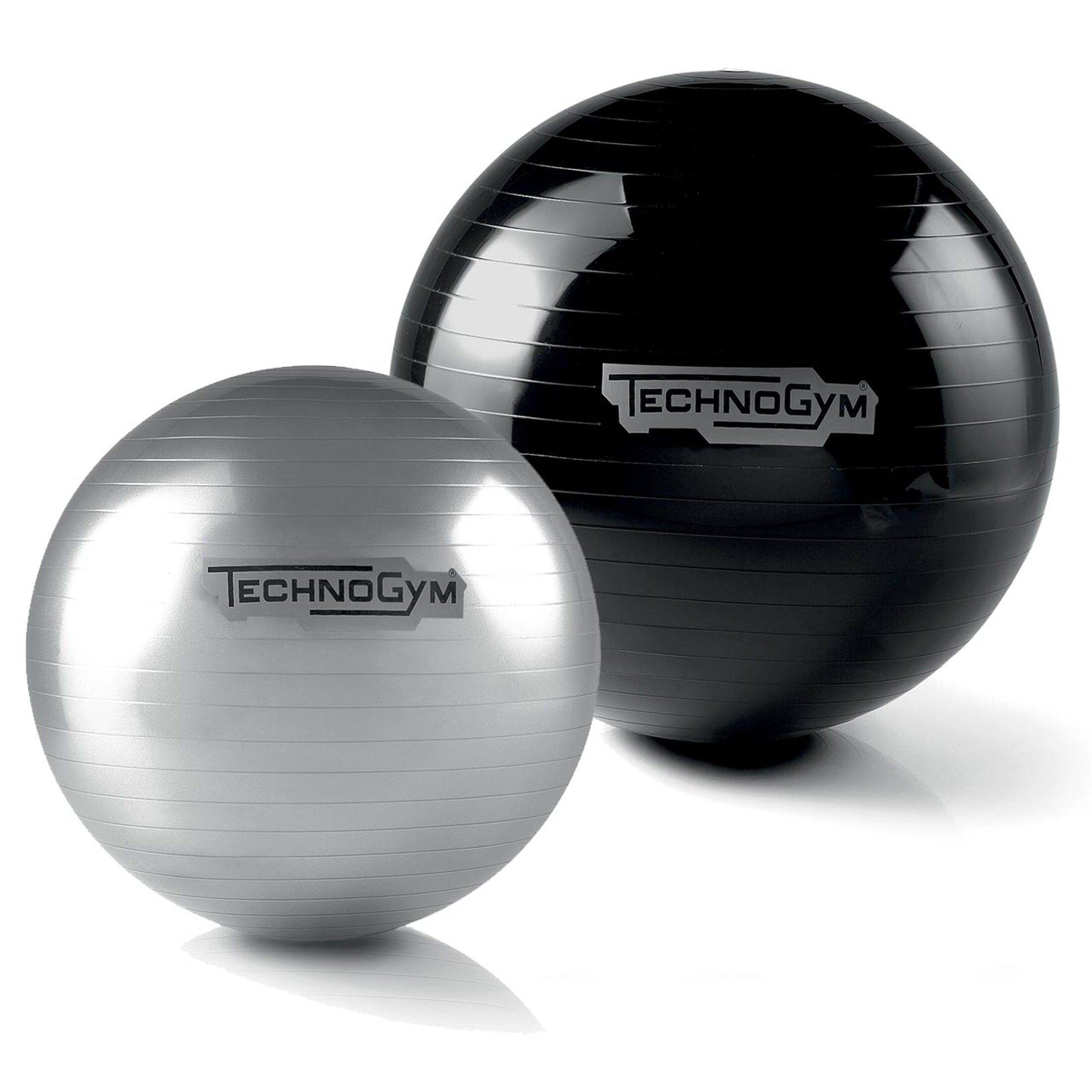 Technogym Wellness Ball Grey bidbrain_campaign_1098