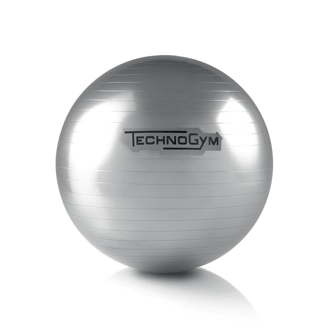 Technogym Wellness ball (55-65cm) - 55 cm. bidbrain_campaign_1098