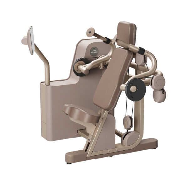 Biostrength Arm Extension